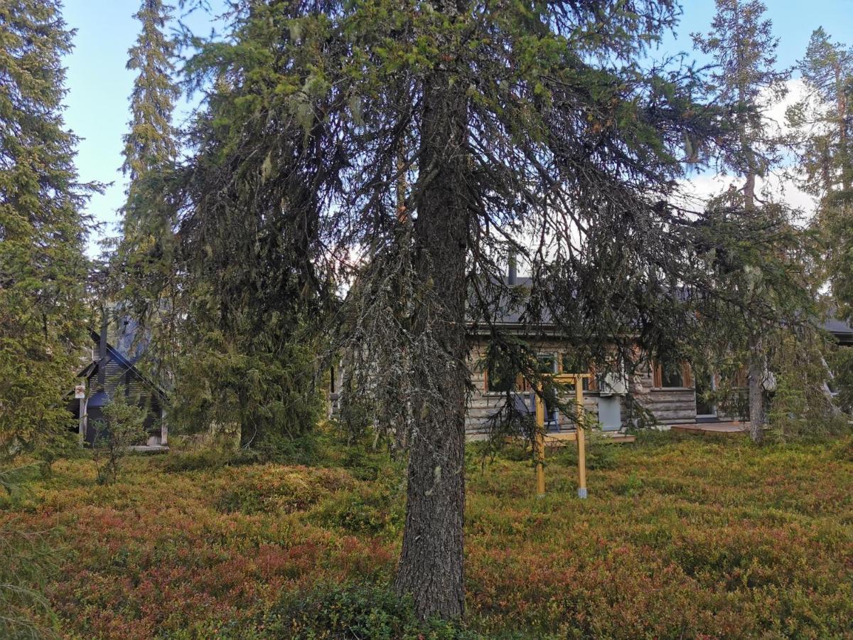 Ruka Inn Dış mekan fotoğraf
