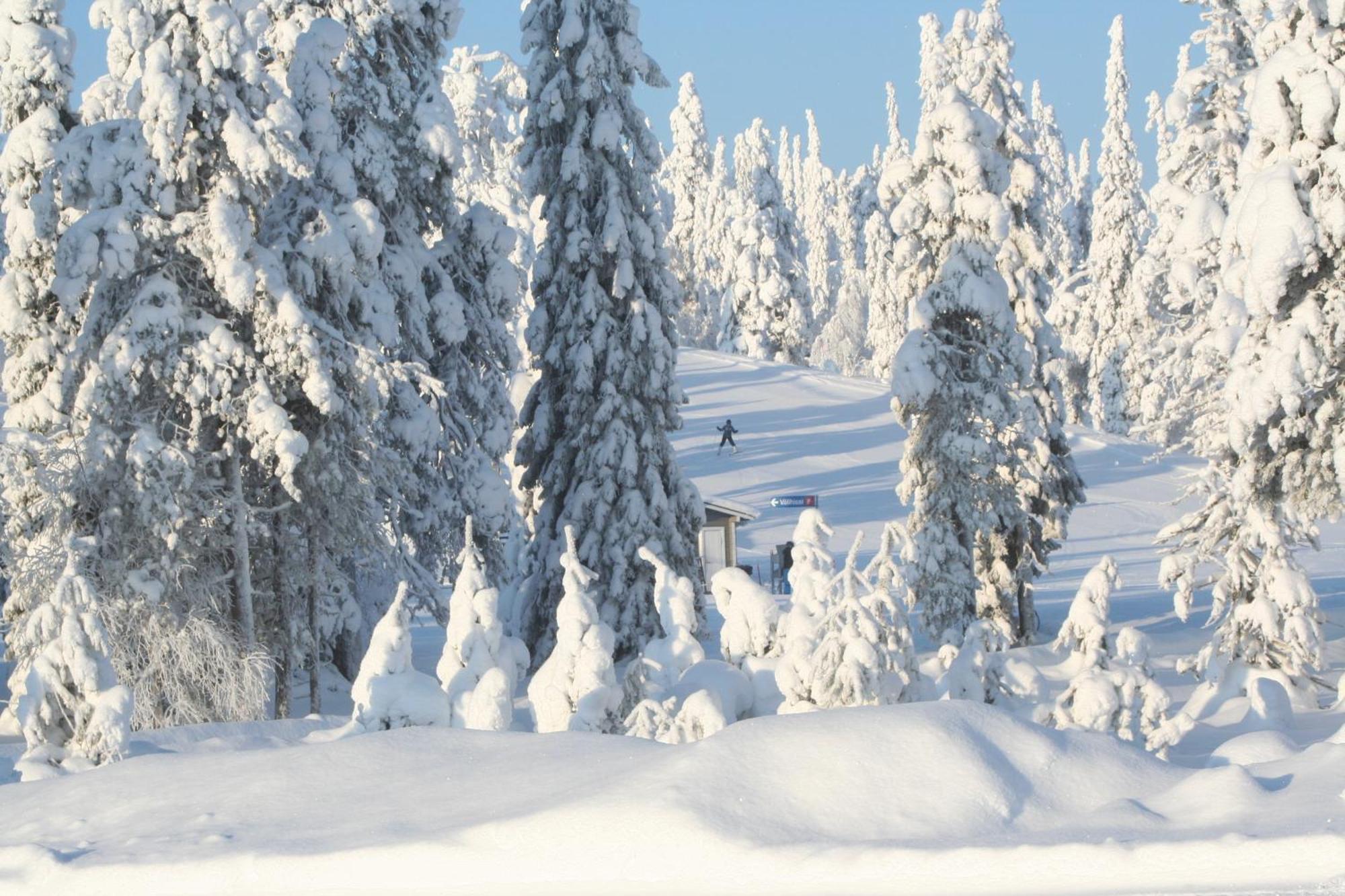 Ruka Inn Dış mekan fotoğraf